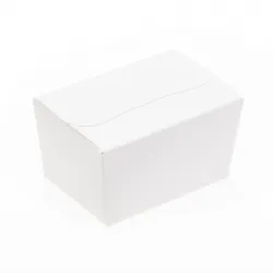 125g Fold Flat Ballotin; Shiny White